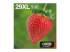 Epson Multipack 29XL EasyMail - Close up