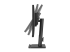 ASUS LED monitor - Full HD (1080p) - Right side