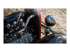 Forza Horizon 5 - Standard Edition - Front