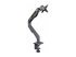 StarTech.com Desk Mount Monitor Arm, Up To 32" Display, C-Clamp, TAA - Back