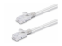 Lindy - Patch cable - RJ-45 (M) to RJ-45 (M) - Right-angle