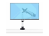 StarTech.com Monitor Desk Mount, VESA 75x75/100x100, 27/30-inch Screens - Front