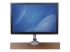 StarTech.com Monitor Desk Mount - Front