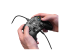 Turtle Beach Recon Controller - Left-angle