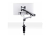 StarTech.com Monitor Desk Mount, VESA 75x75/100x100, 27/30-inch Screens - Back