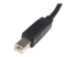 StarTech.com 3m USB 2.0 A to B Cable M/M - Close up