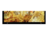 Sony Bravia XR XR-75X90L X90L Series - Close up