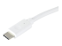 StarTech.com USB-C to Gigabit Ethernet Adapter - Close up