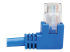 Eaton Tripp Lite Series Right-Angle Cat6 Gigabit Molded UTP Ethernet Cable (RJ45 Right-Angle M to RJ45 M), Blue, 15 ft. (4.57 m) - Close up