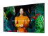 Samsung QB43C - 43" Diagonal Class QBC Series LED-backlit LCD display - Right-angle