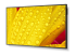 NEC MultiSync M431-2 - Right-angle