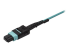 StarTech.com MTP to LC Breakout Cable - Close up