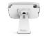 Compulocks iPad 10.9" 10th Gen Space Enclosure Rotating Counter Stand - Back