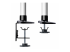 StarTech.com Monitor Desk Mount, VESA 75x75/100x100, 27/30-inch Screens - Close up