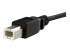 StarTech.com 3 ft Panel Mount USB Cable B to B - Close up