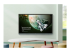 BenQ Board Essential RE8604 - Front