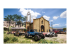 Forza Horizon 5 - Standard Edition - Front