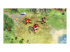 Sid Meier's Civilization VII - Front