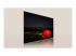 LG 50QNED87T6B QNED87 Series - Left-angle