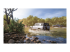Forza Horizon 5 - Standard Edition - Front